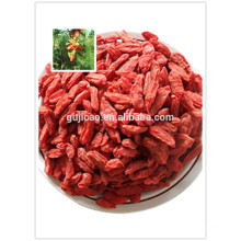 comprar bagas de goji grau B